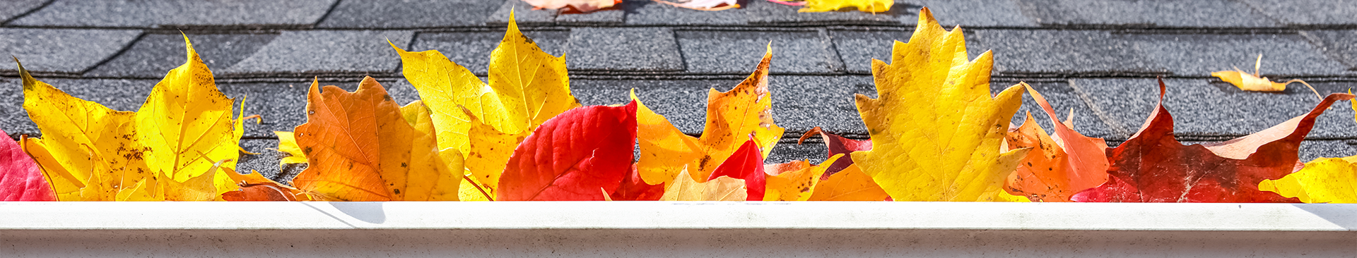 fall home maintenance checklist banner leaves in gutter